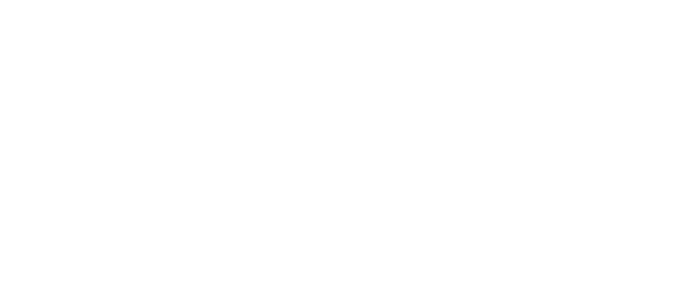 Logo Aqaba Cruise Terminal